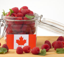 Healthy Eating Tips Nutrition Tips: raspberries in a jar and on table with Canadian flag