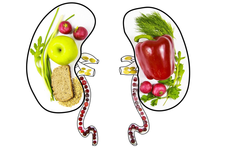 dietitian and nutritionist for kidney disease management