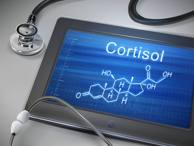 Cortisol Lowering Foods and Supplements For Stress Management