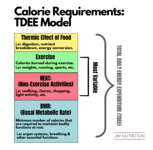 Calorie Requirements: TDEE Model JM Nutrition