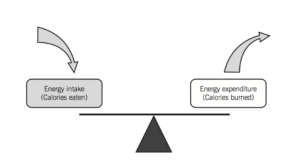Energy Intake vs. Energy Expenditure in data-driven nutrition plans