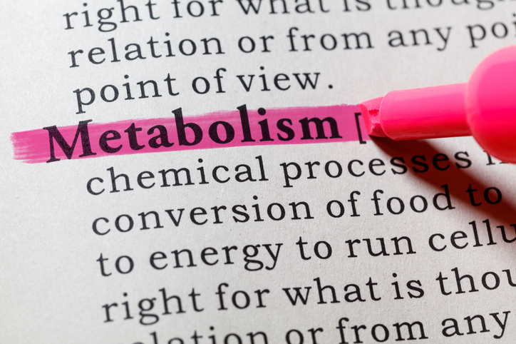 Metabolism 101: Introduction to Metabolism and Nutrition