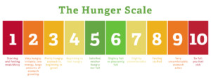 Hunger Scale Infographic