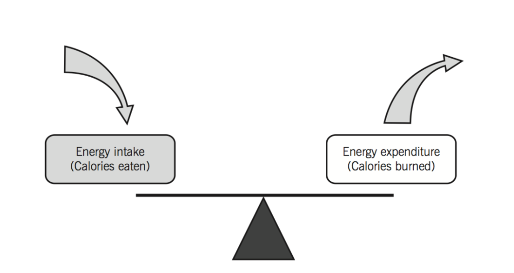 Energy Intake vs. Energy Expenditure Diagram